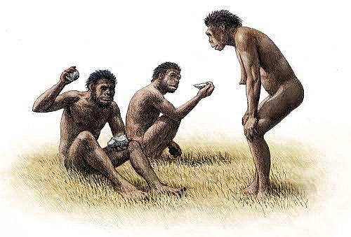 ​Homínidos usaron preferentemente la mano derecha antes de lo que se creía