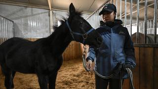 China presenta su primer caballo clonado que usará para deportes ecuestres