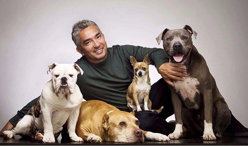 La razón por la que el 'encantador de perros', César Millán, cayó en una profunda depresión