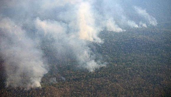 Selva Central: Voraz incendio forestal arrasa con todo desde hace 20 días [VIDEO]