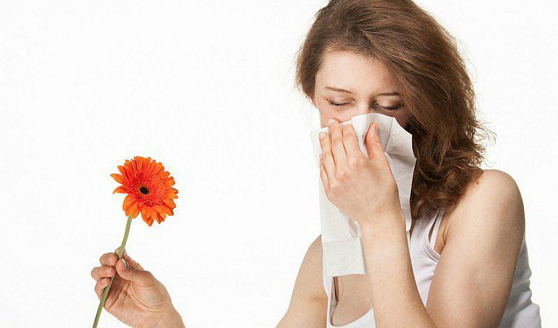 ¡Qué alivio! Conoce las flores que no te producirán alergia