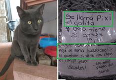 Facebook: Gato tenía ‘doble vida’ hasta que fue descubierto por sus dos dueños 