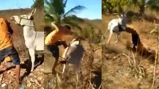 Hombre golpea brutalmente a burro y animal hace justicia con el maltratador 