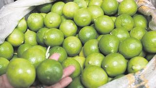 Limón: anuncian que precio del kilo bajó considerablemente