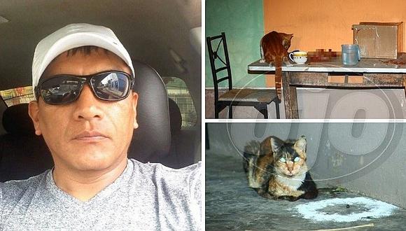 ​Sale de su casa para dar de comer a sus gatos y lo matan a balazos (FOTOS y VIDEO)