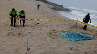 Hallan cadáver en playa de Punta Hermosa: Podría ser uno de los desaparecidos con avioneta Ala Delta