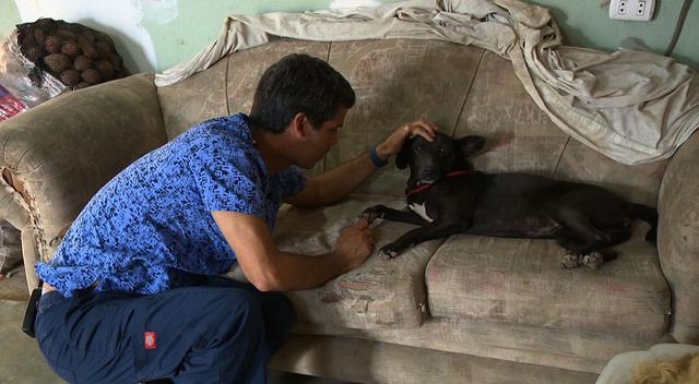 '​Dr. Vet' atendió conmovedor caso de 58 mascotas que perdieron a su dueña [FOTOS]