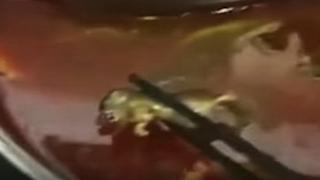 Mujer embarazada halla una pequeña rata en su sopa (VIDEO)