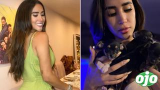 Melissa Paredes adopta perritos y activa otra vez la opción de comentarios en Instagram