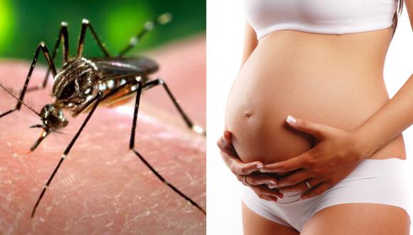 Virus Zika: Perú en alerta y recomiendan no embarazarse 