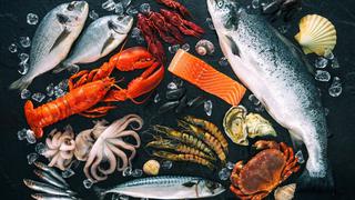 Comer para vivir: ¿Se puede reemplazar el pescado?