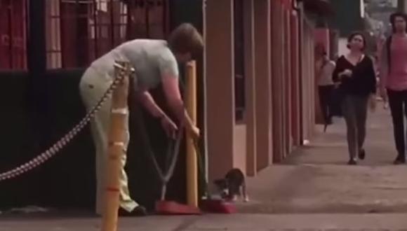 Dueña de veterinaria abandona a cachorro en la calle [VIDEO]