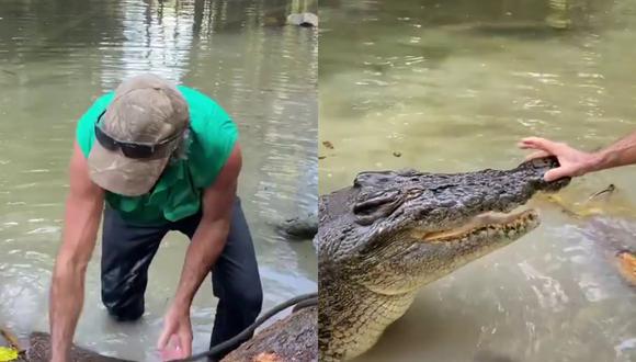 Un video viral muestra cómo un aventurero al aire libre hizo que un cocodrilo de gran tamaño se alejara de él y lo dejara trabajar usando únicamente sus manos. | Crédito: &#64;mattwright / Instagram.