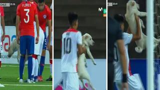 Perrito se mete a la cancha del Perú vs. Chile por el Sudamericano sub 17 (VIDEO)