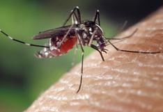 Dengue en Semana Santa: Cinco consejos para prevenirlo durante el feriado