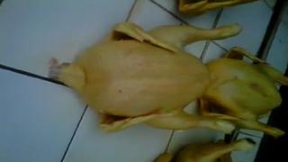 Pollo muerto y desplumado a punto de ser vendido "hace extraños movimientos" (VIDEO)
