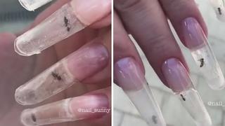 Uñas con hormigas vivas: la nueva y polémica moda en la belleza (VIDEO)