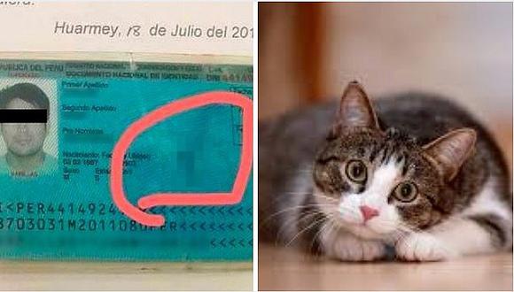Insólito: Joven en Huarmey  dibuja un gatito como firma (FOTO)