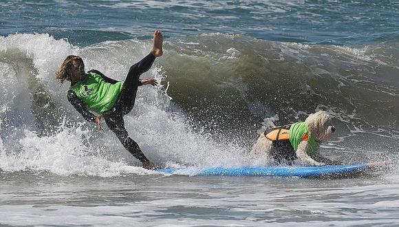 EEUU: Perros surfistas participan en curiosa competencia