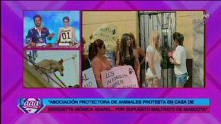 Mónica Adaro: Activistas protestan en su casa por abandono de mascota [FOTOS]