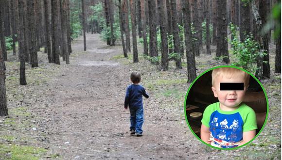 Niño de dos años es hallado con vida luego de perderse en un bosque por tres días