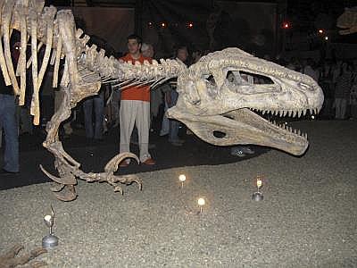 Descubrimiento de megaraptor o “ladrón gigante” abre nuevas investigaciones