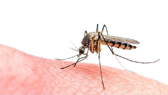 ​Se registra más casos de dengue que de zika en el Perú