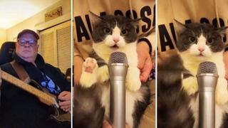 Gato “canta” mismo Ozzy Osbourne en famoso “Crazy Train” y se vuelve viral como “Cat Sabbath” | VIDEO