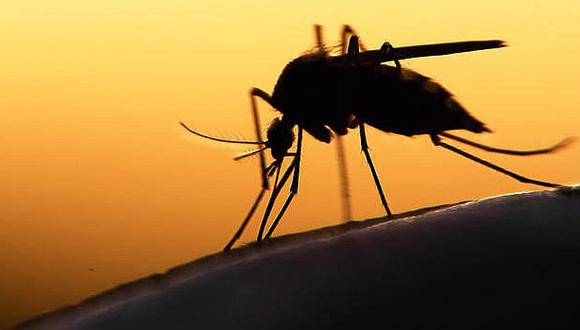 Si tuviste dengue, puede ser que seas inmune al temible zika