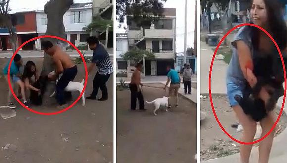 Facebook: Bull Terrier ataca a otro perro y su dueño no auxilia a mascota herida (VIDEO)