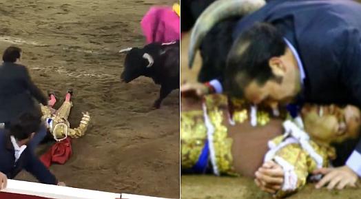 Torero sufre brutal cornada y su hermano lo protege con su cuerpo (VIDEO)