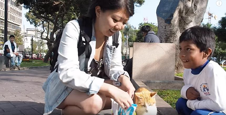 ​YouTube: Turista sorprende con su reacción al ver a los gatos del parque Kennedy