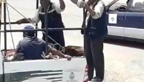 ​Toro causa zozobra en pista de aeropuerto y moviliza a la Policía (VIDEO)