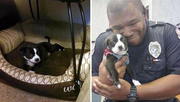 Policía adopta a perro en albergue al que iba para arrestar a un empleado | FOTOS