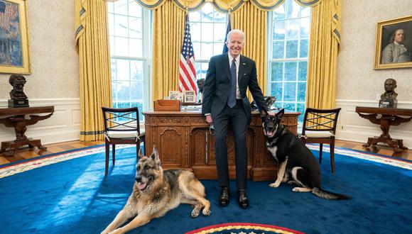 El presidente de los Estados Unidos, Joe Biden, ama a las mascotas, tiene buen corazón.