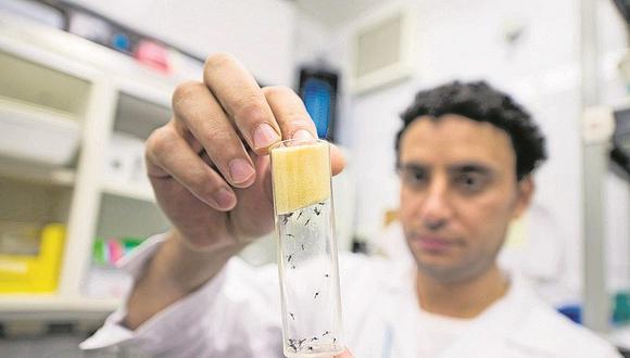 Casos de dengue alarman a Piura e Ica