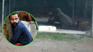 Hombre pega a un elefante y animal le responde aplastándolo hasta morir (VIDEO)