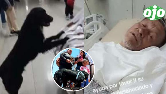 Mujer que adoptó a 'Firulais' reveló que antiguo dueño abandonó al perro en el hospital