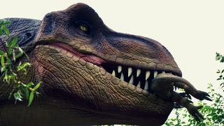 13 Películas de dinosaurios: Películas antiguas, infantiles, animadas y actuales 