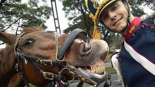 Caballo que posa sonriendo para selfie causa furor en las redes sociales 