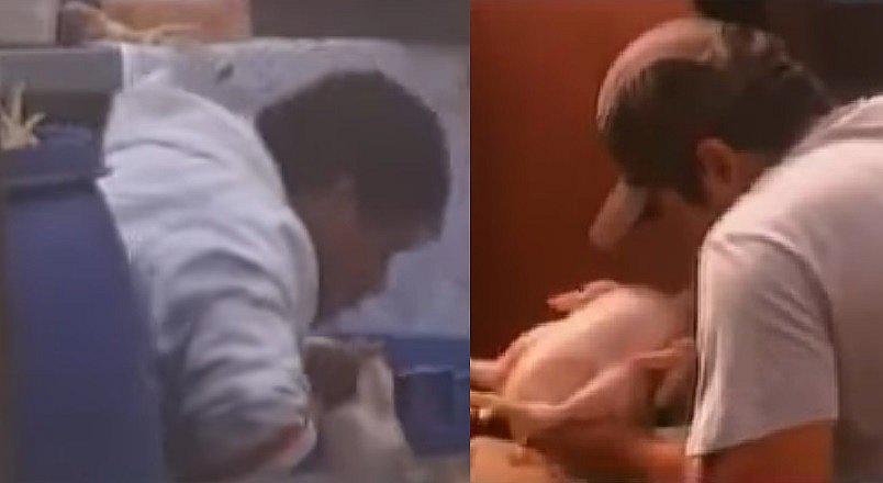 ¡Repugnante! Pollos son inflados con la boca para que pesen y cuesten más (VIDEO)