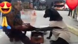 Perro callejero le pide a lustrabotas que le limpie las patas | VIDEO