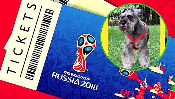 ​Familia ofrece paquete completo a Rusia 2018 a quien encuentre a su perro (FOTOS)
