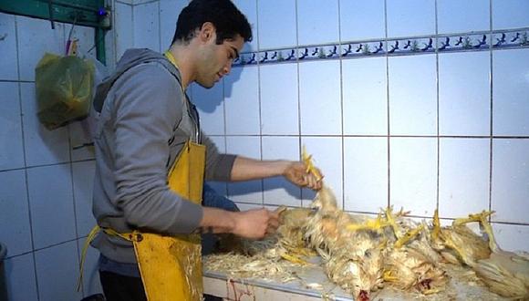 Guty Carrera pelará pollos en “Vidas Extremas” de Fábrica de Sueños [FOTOS]