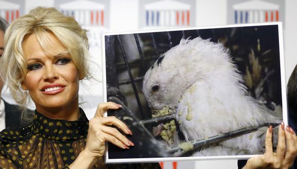 Pamela Anderson denuncia alimentación forzada de patos para fabricar paté