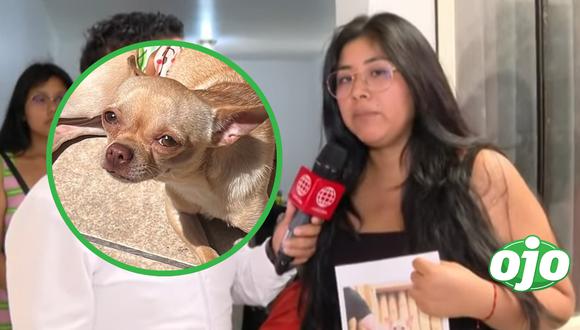 Familia de ‘Marianito’, mascota robada en SMP, celebra su regreso: “Estamos muy contentos”