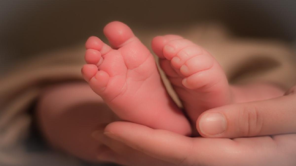 Facebook: Mira el nacimiento de un bebé dentro del saco amniótico [VIDEO] |  LOCOMUNDO | OJO