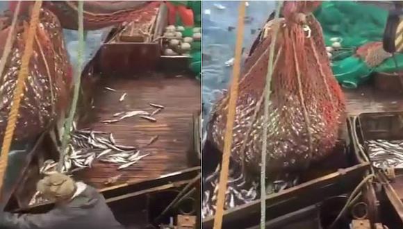 YouTube: creyeron haber hecho la pesca del día pero se dieron tremenda sorpresa (VIDEO)
