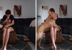 Perro ayudó a su dueña en plena crisis de ansiedad | VIDEO