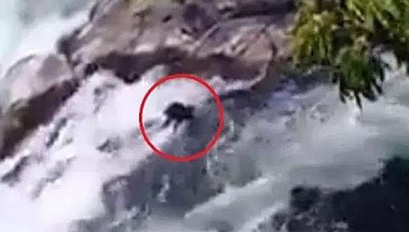 ​Desalmado lanza a dos perros a un río y mueren ahogados (VIDEO)